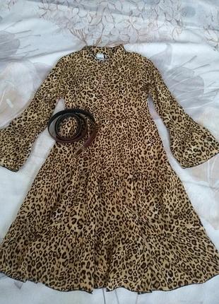 Сукні baby doll, від zebra 2