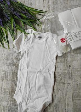 Боди cool club 3