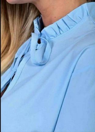 Блакитна сорочка, блузка