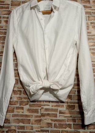 Белая базовая рубашка, фактурный хлопок 42,44,46рр