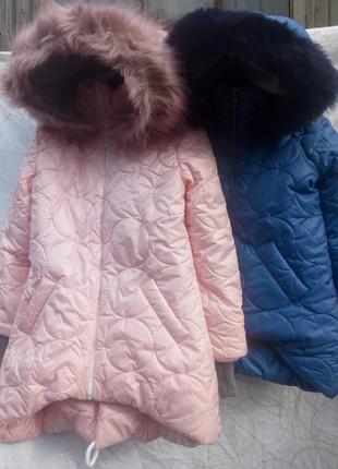Зимняя курточки распродажа 128-1681 фото