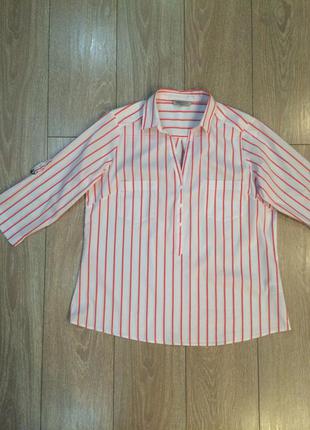 Блуза в полоску размер 14-16   marks&spencer4 фото