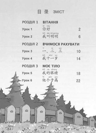 Весела китайська мова 1 робочий зошит для початківців дошкільного та шкільного віку ч\б (арт. 1008)2 фото