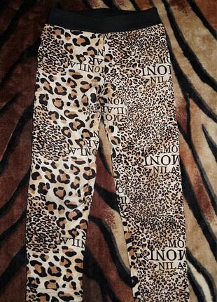 Утеплённые штаны / леггинсы для девочки