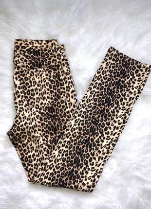 Леопардовые штаны бренда moda international