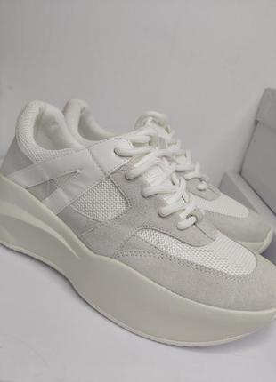 Steve madden volkano кроссовки