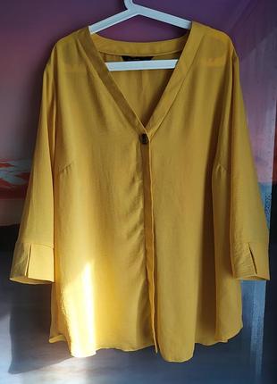 Блуза жіноча