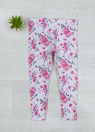 Лосини фірми primark.