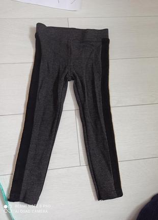 Штаны, спортивные штаны palmolino