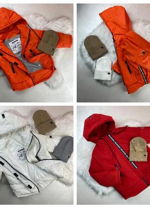 Демісезонна парку