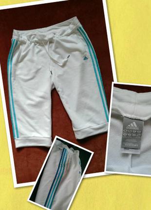 Шорты adidas новые, р-р xl
