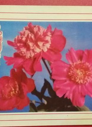 Открытка винтаж 1976