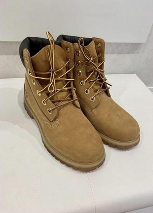 Черевики timberland