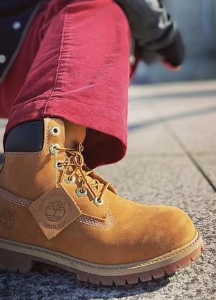 Черевики timberland