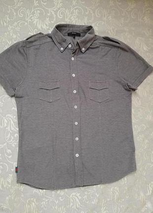 Рубашка gucci р. s