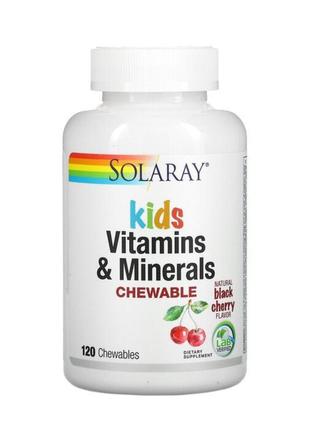 Solaray
витамины и минералы для детей, в форме жевательных таблеток, с натуральным вкусом ягод черемухи, 120 жевательных таблеток