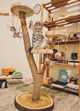 Дизайнерская эко когтеточка для кошки. когтедралки с натурального дерева. дряпка для кота