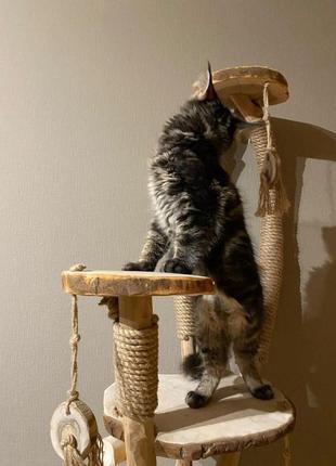 Дизайнерська когтеточка для кота. когтедралка з натурального дерева. дряпка для кота ручної роботи.3 фото