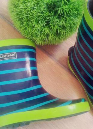 Гумові чоботи