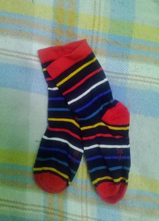 Бавовняні шкарпетки tchibo. розмір 27/30. 45