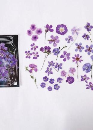 Наклейки для скрапбукінгу finding тематика квітів стікери коробка 40 штук 14 cm x 9.5 cm1 фото
