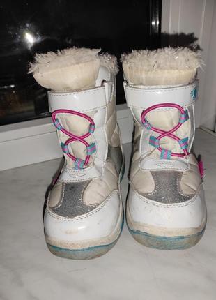 Ботинки frozen3 фото