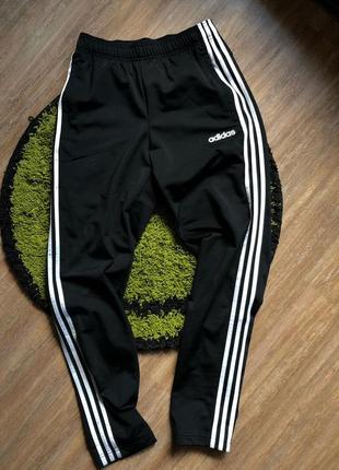 Штани adidas
