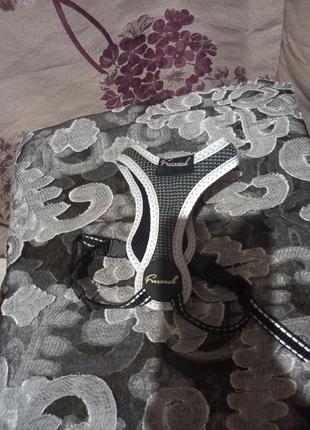 Шлейка шлея для мелких собак