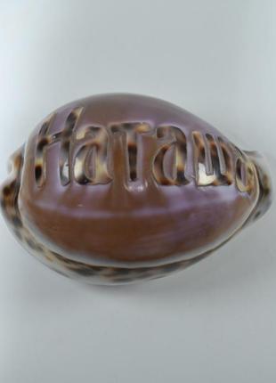 Ракушка наташа іменна 1000 пар взуття тут!