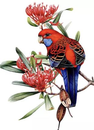Виниловая наклейка на мебель или стену "красный попугай" , декор для дома, размер наклейки 31*24см1 фото