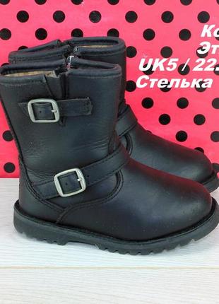 Ботинки ugg1 фото