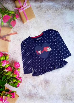 Дуже гарний, милий регланчик в синій горошок