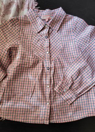 Lisa rose блузка в клетку / рубашка длинный рукав / школьная блузка на кнопках/ сорочка на дівчинку2 фото