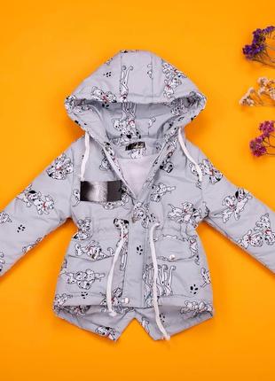 Детская демисезонная парка деми куртка демі курточка