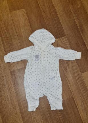 Пісочник дуже м'який