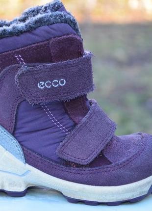 Зимние термоботинки ecco biom с мембраной gore-tex р. 22 по стельке 14,5 см1 фото