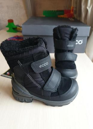 Черевики ecco 22 biom hike infant gore-tex