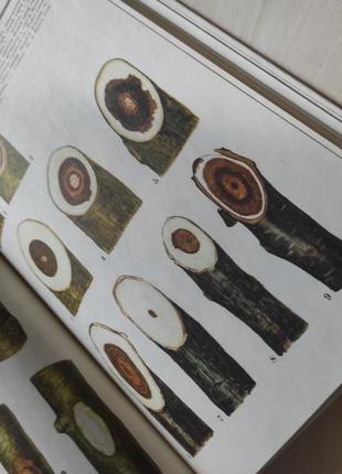 Атлас пошкоджень плодових і ягідних культур морозами книга5 фото