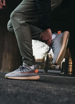 Кросівки yeezy boost 350 v2 trfrm кросівки
