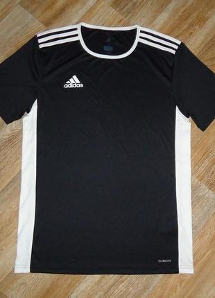 Футболка adidas entrada18 climalite2 фото