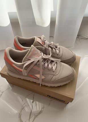 Кросівки reebok