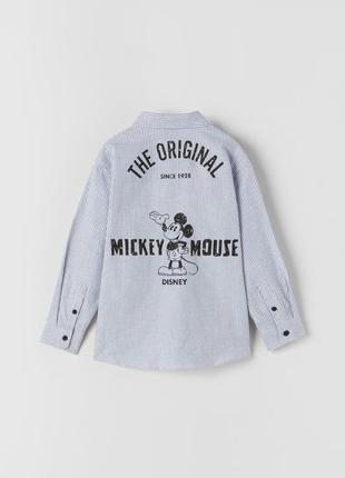 10 лет 140 см новая фирменная рубашка мальчику mickey mouse disney зара zara