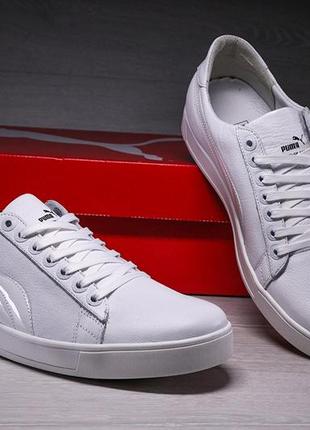 Мужские кожаные кеды puma legio white1 фото