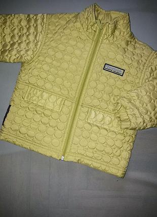 Куртка весна осень