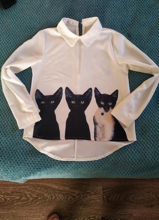 Интересная белая рубашка с котами