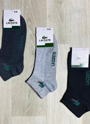 Шкарпетки чоловічі спортивні літні сітка бавовна короткі lacoste туреччина розмір 41-45 мікс