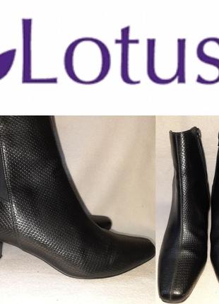 Ботильоны  lotus p.7