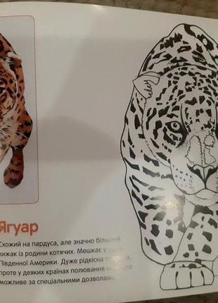 Абетка раскраска 4