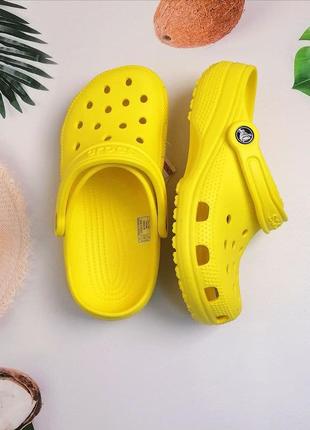 Жіночі крокси сабо crocs classic clog white жовті