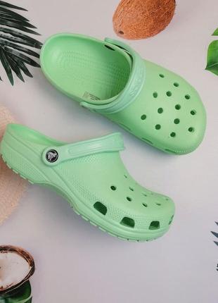 Жіночі крокси сабо crocs classic clog white м'ятні